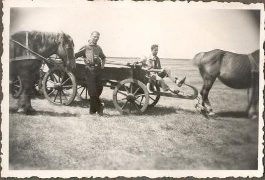 hooiwagen